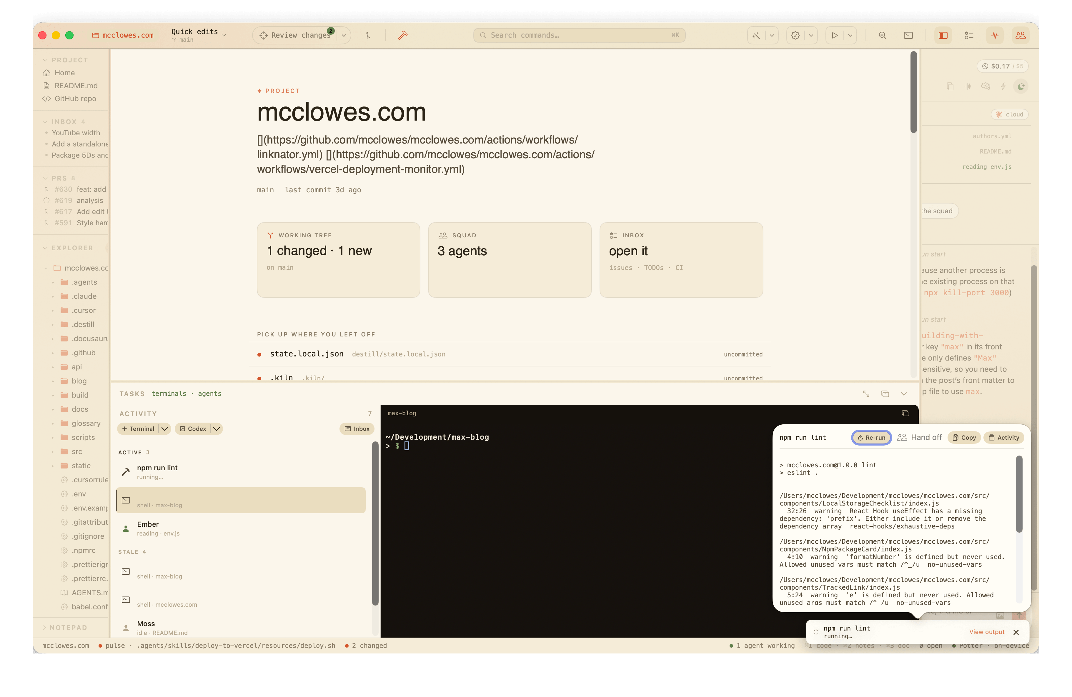 A job running in the Activity tray: npm run lint in a captured shell beside the project overview, its chip above the status bar.